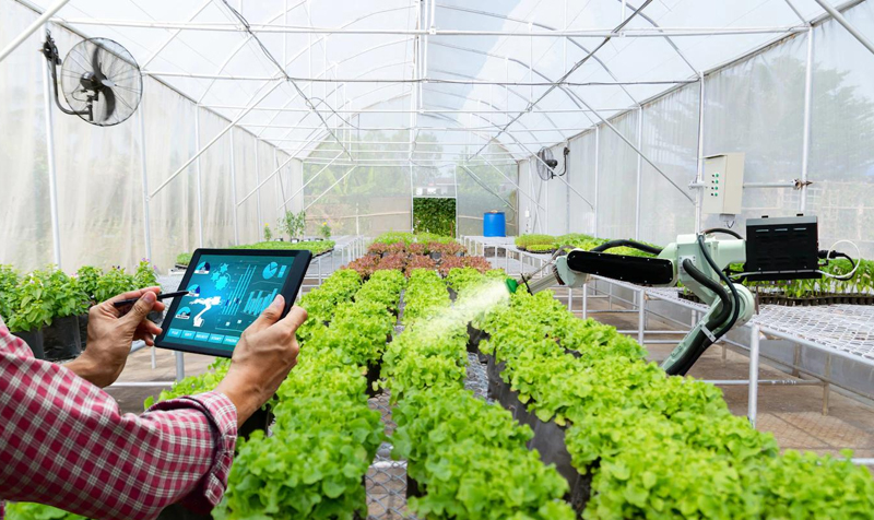 agriculture